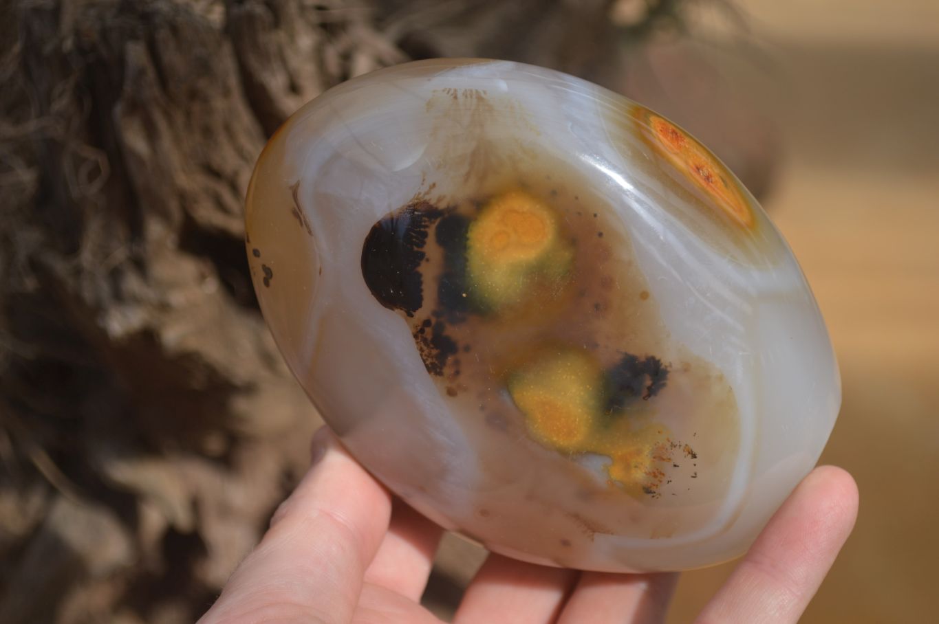 Polished Agate Standing Free Forms x 3 From Madagascar - Toprock Gemstones and Minerals 