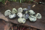 Polished Spotted Leopard Stone Free Forms  x 12 From Zimbabwe - Toprock Gemstones and Minerals 