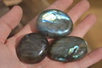 Polished Labradorite Palm Stones  x 20 From Tulear, Madagascar - Toprock Gemstones and Minerals 
