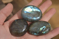 Polished Labradorite Palm Stones  x 20 From Tulear, Madagascar - Toprock Gemstones and Minerals 