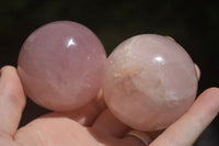 Polished Star Rose Quartz Spheres x 6 From Ambatondrazaka, Madagascar - TopRock