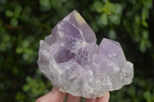 Natural Jacaranda Amethyst Clusters  x 2 From Zambia