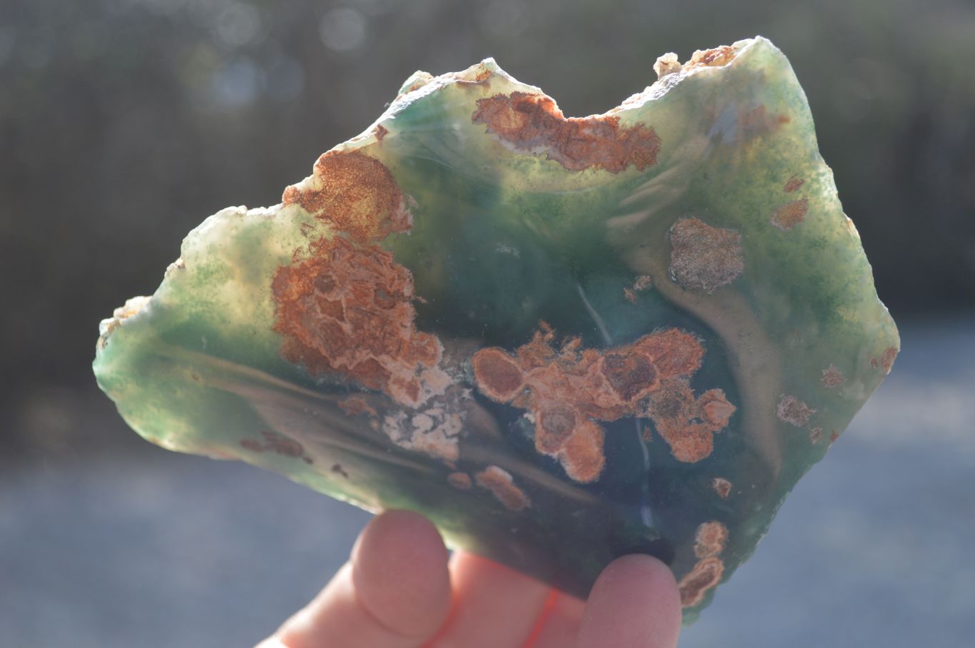 Polished One Side Polished Emerald Mtorolite Plates  x 6 From Zimbabwe - Toprock Gemstones and Minerals 