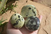 Polished Spotted Leopard Stone Free Forms  x 12 From Zimbabwe - Toprock Gemstones and Minerals 