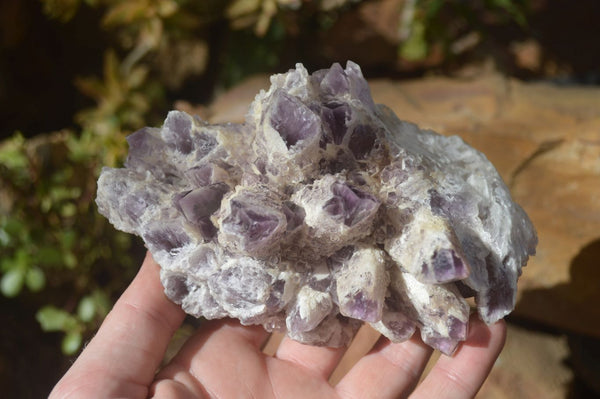 Natural Sugar Amethyst Clusters  x 2 From Zambia