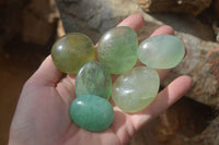 Polished Emerald Fluorite Palm Stones  x 20 From Madagascar