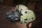 Polished Spotted Leopard Stone Free Forms  x 12 From Zimbabwe - Toprock Gemstones and Minerals 