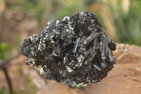 Natural Schorl Black Tourmaline Specimens x 3 From Erongo, Namibia