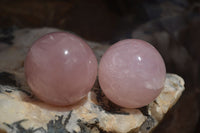 Polished Star Rose Quartz Spheres x 6 From Ambatondrazaka, Madagascar - TopRock