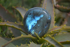 Polished Labradorite Palm Stones  x 20 From Tulear, Madagascar - Toprock Gemstones and Minerals 