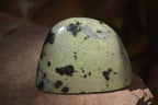 Polished Spotted Leopard Stone Free Forms  x 12 From Zimbabwe - Toprock Gemstones and Minerals 
