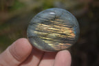 Polished Labradorite Palm Stones  x 20 From Tulear, Madagascar - Toprock Gemstones and Minerals 