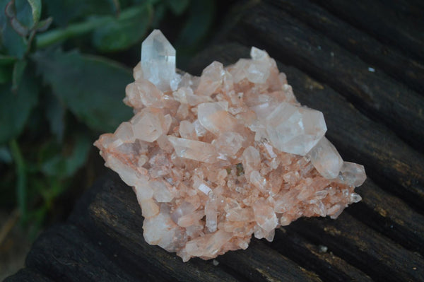 Natural Tangerine Tinted Clear Quartz Clusters  x 24 From Zambia - Toprock Gemstones and Minerals 