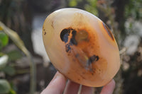 Polished Agate Standing Free Forms x 3 From Madagascar - Toprock Gemstones and Minerals 