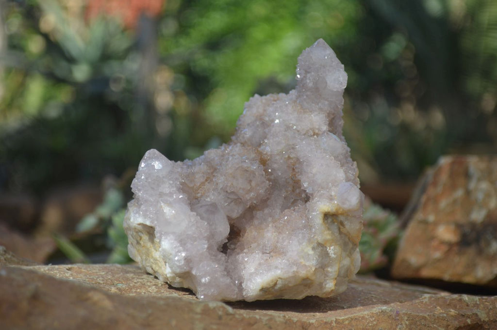 Natural Long Fingered Spirit Quartz Clusters x 2 From Boekenhouthoek, South Africa - Toprock Gemstones and Minerals 