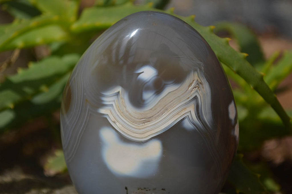 Polished Agate Standing Free Forms x 3 From Madagascar - Toprock Gemstones and Minerals 