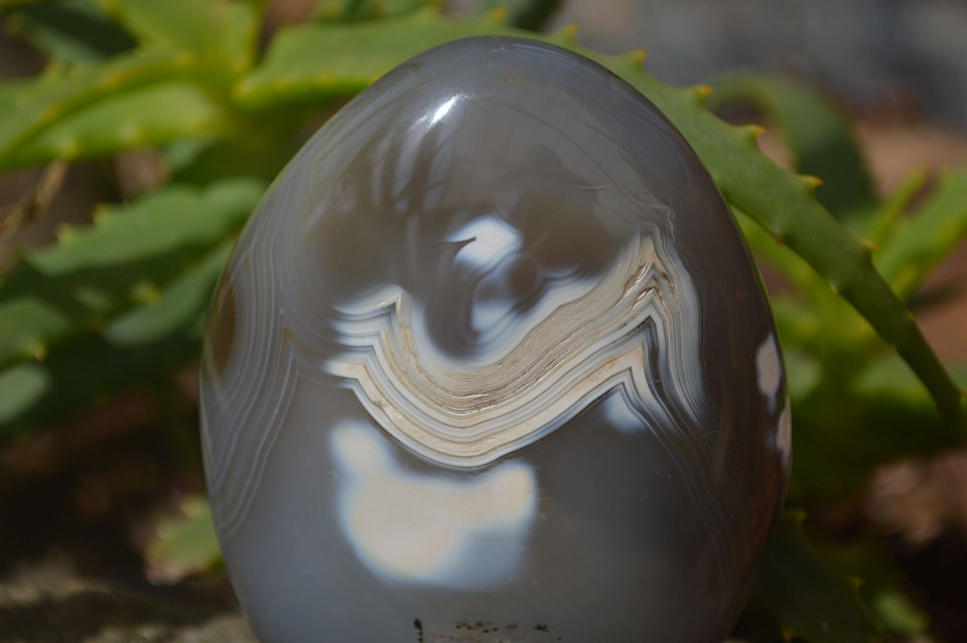 Polished Agate Standing Free Forms x 3 From Madagascar - Toprock Gemstones and Minerals 