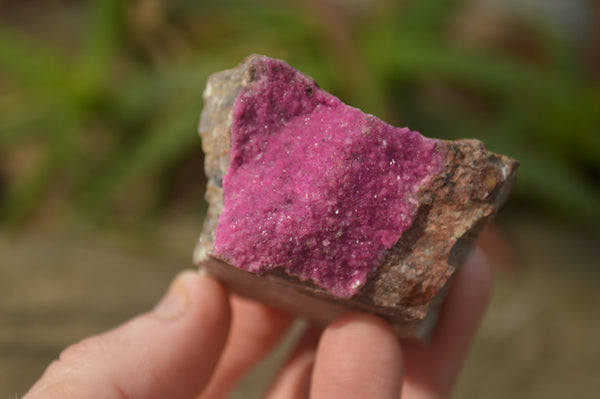 Natural Salrose Cobaltion Dolomite Specimens x 12 From Kakanda, Congo - Toprock Gemstones and Minerals 