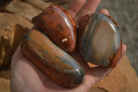 Polished One Side Polished Polychrome Jasper Nodules  x 12 From Mahajanga, Madagascar - Toprock Gemstones and Minerals 