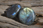 Polished Labradorite Palm Stones  x 20 From Tulear, Madagascar - Toprock Gemstones and Minerals 
