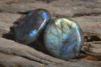 Polished Labradorite Palm Stones  x 20 From Tulear, Madagascar - Toprock Gemstones and Minerals 