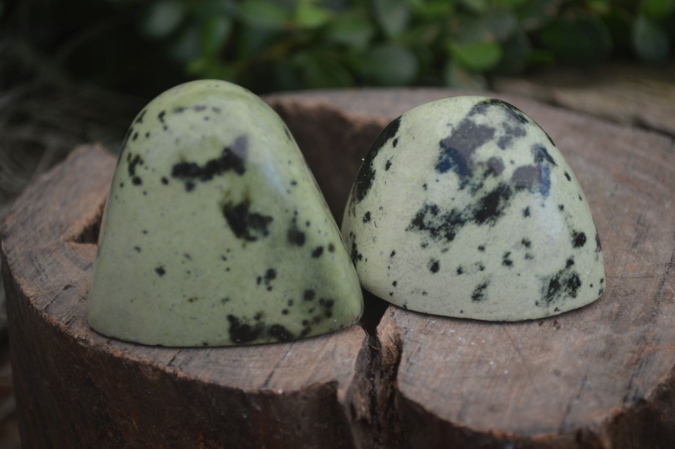 Polished Spotted Leopard Stone Free Forms  x 12 From Zimbabwe - Toprock Gemstones and Minerals 