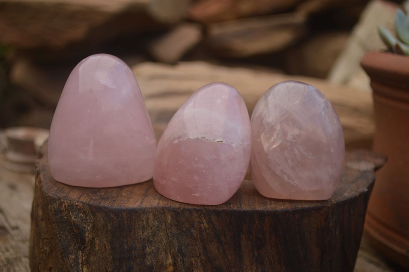Polished Gemmy Pink Rose Quartz Standing Free Forms  x 6 From Ambatondrazaka, Madagascar - TopRock