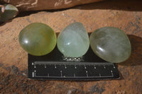 Polished Emerald Fluorite Palm Stones  x 20 From Madagascar