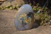 Polished Agate Standing Free Forms x 3 From Madagascar - Toprock Gemstones and Minerals 