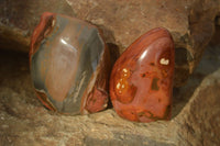 Polished One Side Polished Polychrome Jasper Nodules  x 12 From Mahajanga, Madagascar - Toprock Gemstones and Minerals 