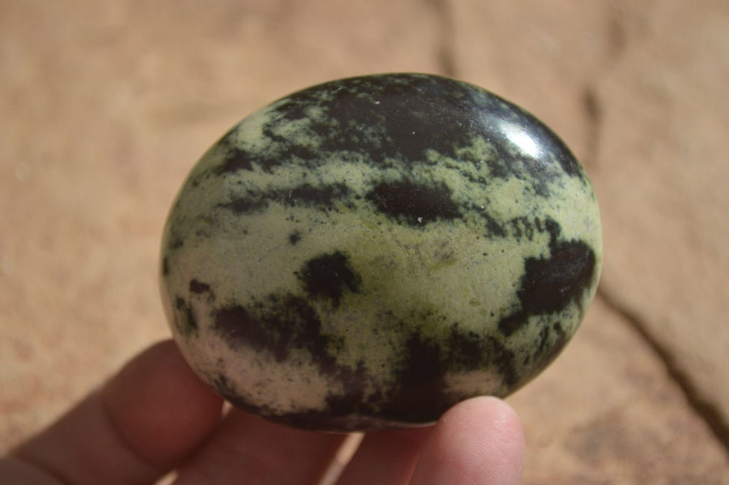 Polished Spotted Leopard Stone Free Forms  x 12 From Zimbabwe - Toprock Gemstones and Minerals 