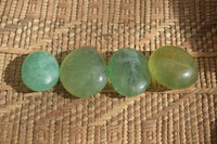 Polished Emerald Fluorite Palm Stones  x 20 From Madagascar