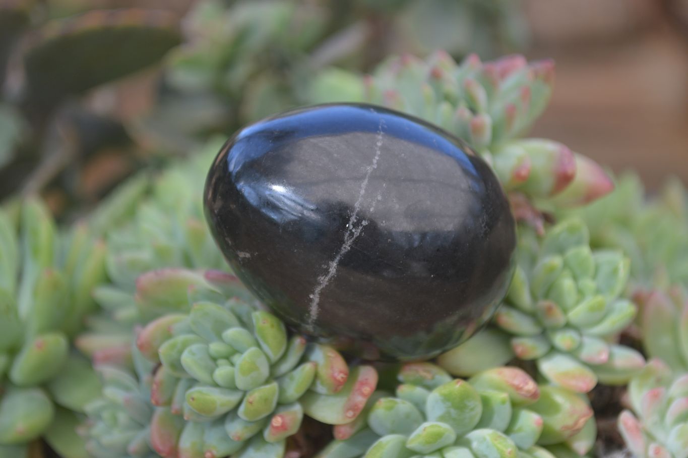 Polished Black Basalt Gemstone Eggs x 6 From Antsirabe, Madagascar - Toprock Gemstones and Minerals 