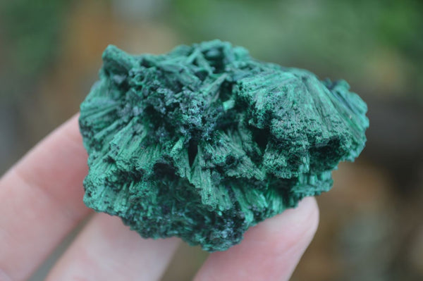 Natural Chatoyant Silky Malachite Specimens  x 12 From Kasompe, Congo - Toprock Gemstones and Minerals 