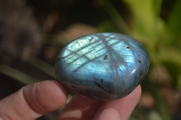 Polished Labradorite Palm Stones  x 20 From Tulear, Madagascar - Toprock Gemstones and Minerals 