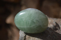 Polished Emerald Fluorite Palm Stones  x 20 From Madagascar
