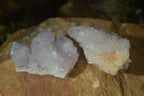 Natural Pale Lilac Spirit Quartz Clusters  x 20 From Boekenhouthoek, South Africa - Toprock Gemstones and Minerals 