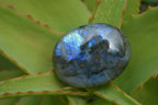 Polished Blue & Gold Labradorite Palm Stones  x 12 From Tulear, Madagascar - Toprock Gemstones and Minerals 