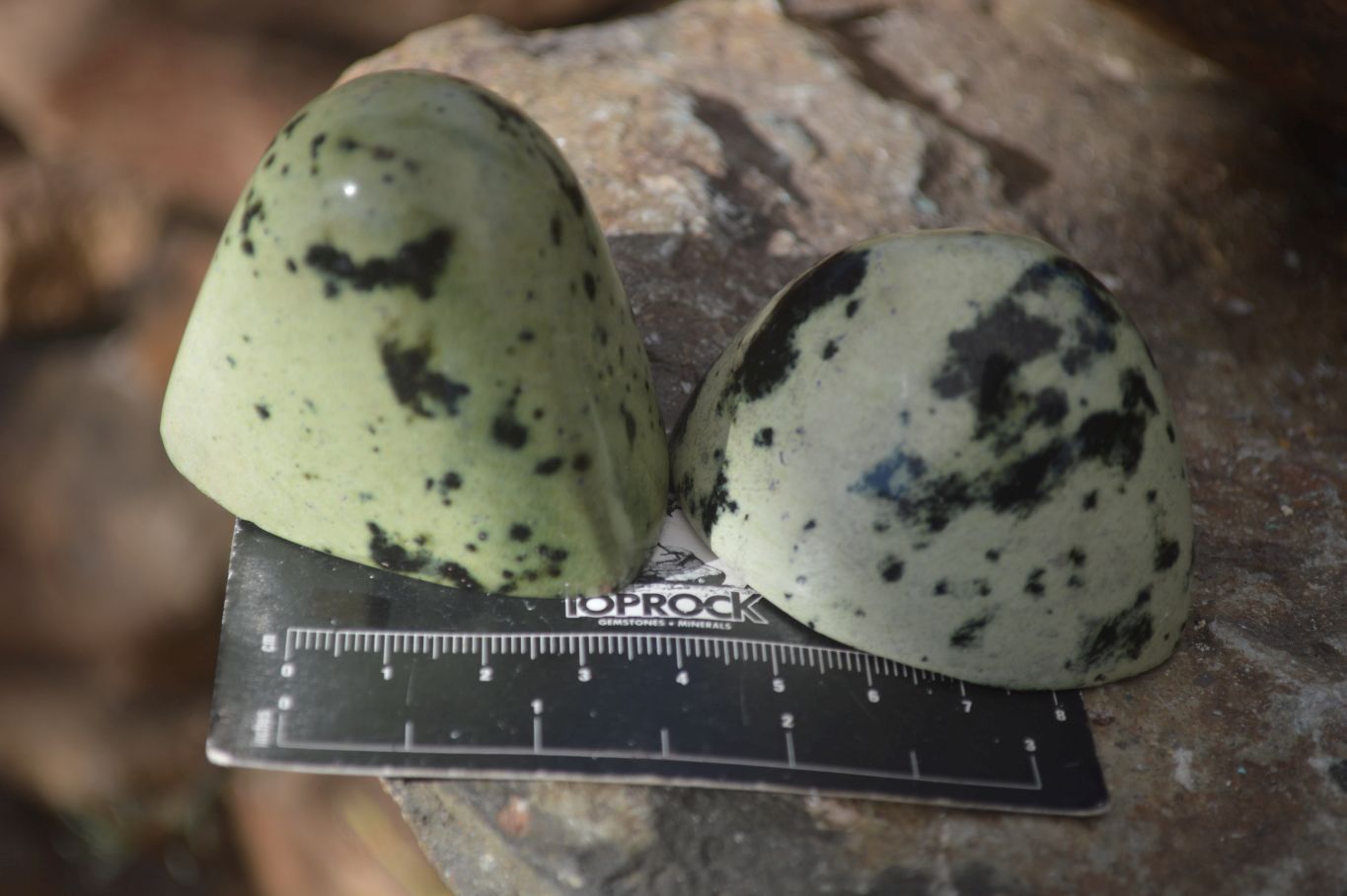 Polished Spotted Leopard Stone Free Forms  x 12 From Zimbabwe - Toprock Gemstones and Minerals 