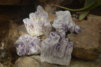 Natural Sugar Amethyst Clusters  x 4 From Solwezi, Zambia - Toprock Gemstones and Minerals 