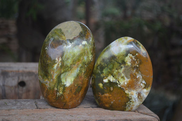 Polished Green Opal Standing Free Forms  x 3 From Madagascar