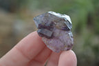 Natural Window Amethyst Crystal Specimens  x 12 From Chiredzi, Zimbabwe - Toprock Gemstones and Minerals 