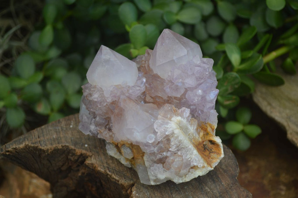 Natural Spirit Amethyst Quartz Clusters  x 3 From Boekenhouthoek, South Africa - Toprock Gemstones and Minerals 