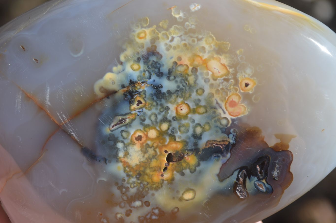 Polished Agate Standing Free Forms x 3 From Madagascar - Toprock Gemstones and Minerals 