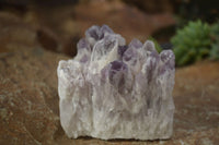 Natural Sugar Amethyst Clusters  x 4 From Solwezi, Zambia - Toprock Gemstones and Minerals 