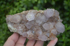 Natural Spirit Amethyst Quartz Clusters  x 3 From Boekenhouthoek, South Africa - Toprock Gemstones and Minerals 
