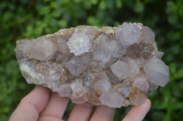 Natural Spirit Amethyst Quartz Clusters  x 3 From Boekenhouthoek, South Africa - Toprock Gemstones and Minerals 