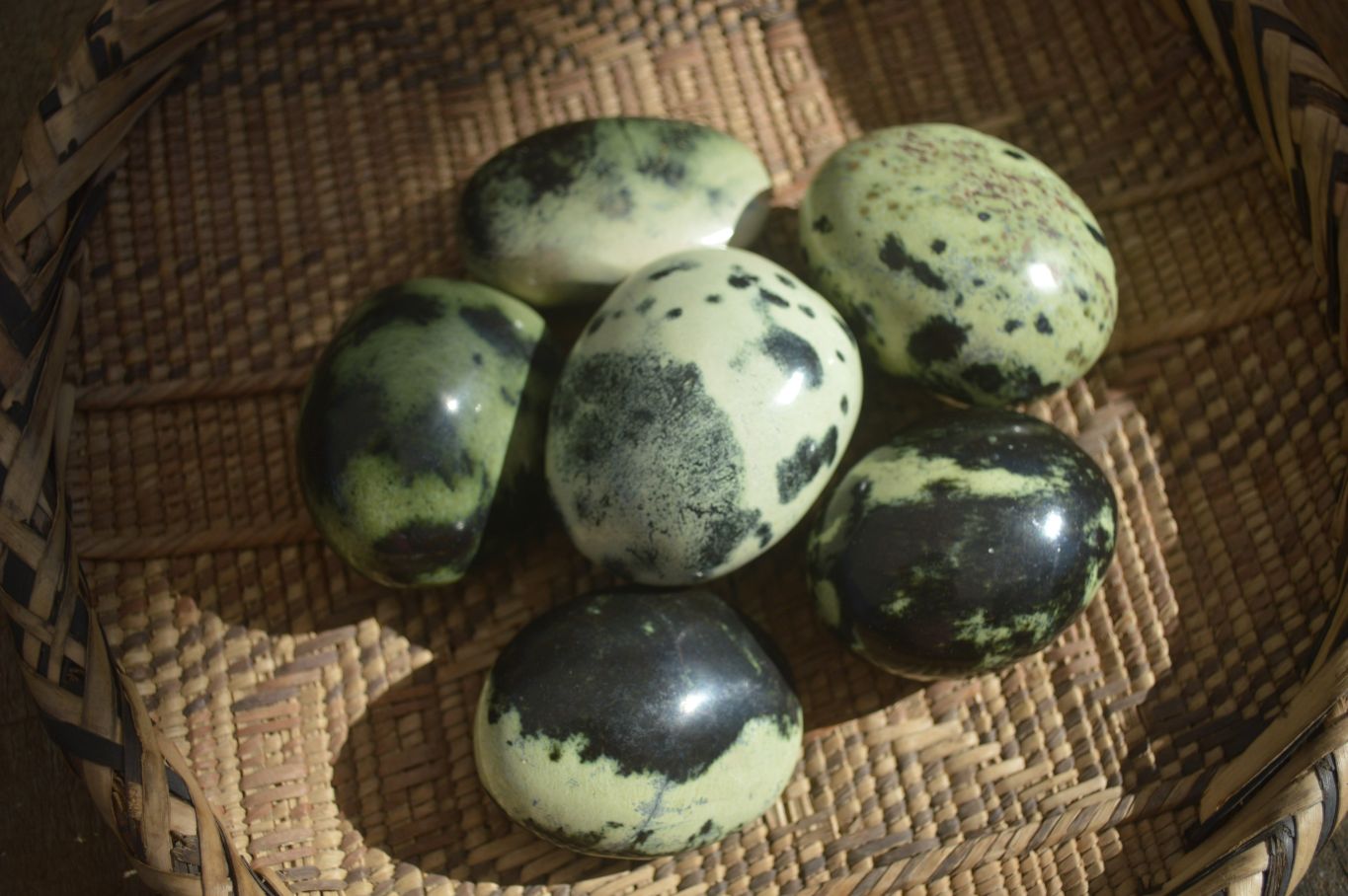 Polished Spotted Leopard Stone Gallets  x 6 From Zimbabwe - Toprock Gemstones and Minerals 