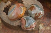 Polished One Side Polished Polychrome Jasper Nodules  x 12 From Mahajanga, Madagascar - Toprock Gemstones and Minerals 