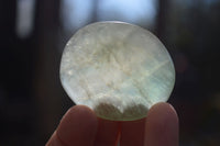 Polished Emerald Fluorite Palm Stones  x 20 From Madagascar